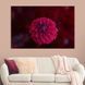 Картина на полотні Жоржина 51x34 см (215-1) 215-1_M фото 1