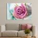 Картина квіти картина на полотні Троянда в рожевому кольорі 51x34 см (980-1) 980-1_M фото 1
