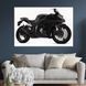 Картина машина Kawasaki Ninja 400 51x34 см (1240-1) 1240-1_M фото 1