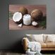 Картина еда картина для кухни кафе бара Цельный и расколотый кокос 51x34 см (1553-1) 1553-1_М фото 1