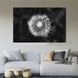 Картина цветы картина на холсте Нежный одуванчик 51x34 см (800-1) 800-1_M фото 1
