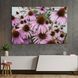 Картина цветы картина на холсте Садовая эхинацея 51x34 см (898-1) 898-1_M фото 1